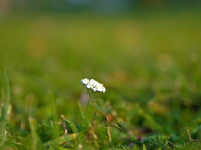 P8290014