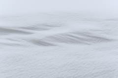 1_P2010041_01