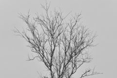 1_P2010049_01