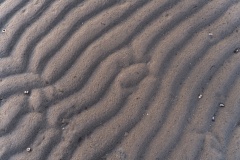 1_P3300100