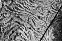 1_P4270054