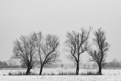1_PC060003-Bearbeitet-2
