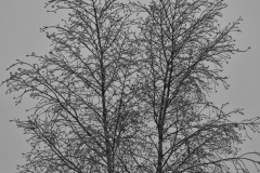 1_PC290016