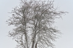 P2150085