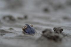 P3080151_01